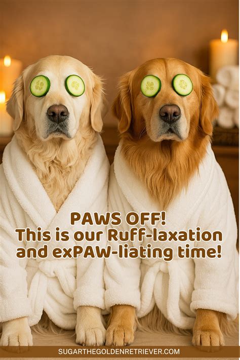 Dog Bathroom Meme