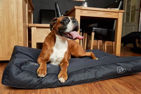 Dog Bed Mattress Protector