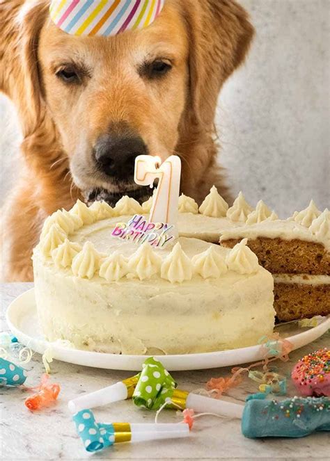 Dog Birthday Cake Recipe