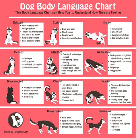 Dog Body Language Chart