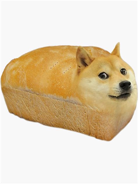 Dog Bread Meme