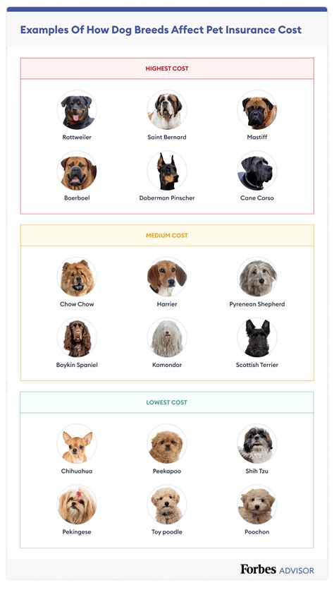 Dog Breed Cost List