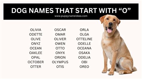 Dog Breed O