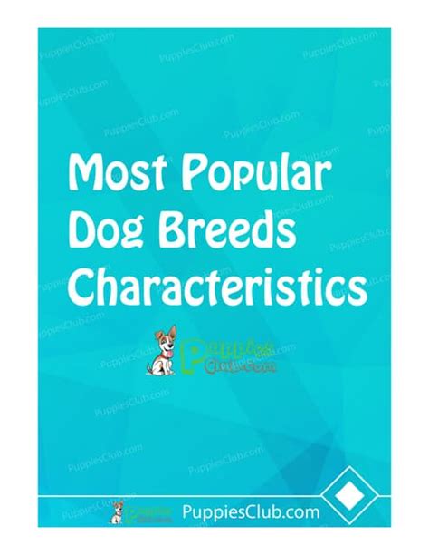 Dog Breeds Characteristics List