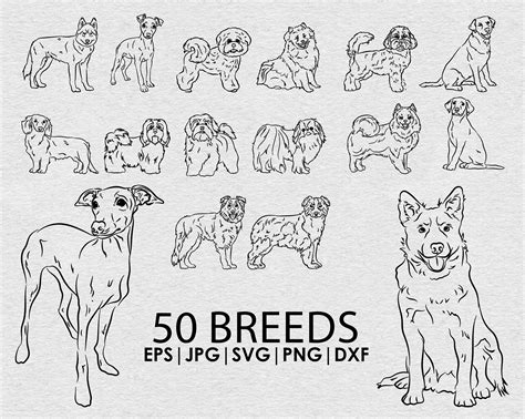 Download Dog Bundle Creativefabrica DXF Files