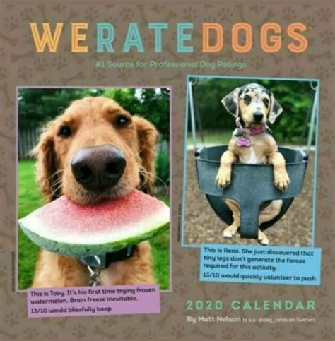 Dog Calendar Contest
