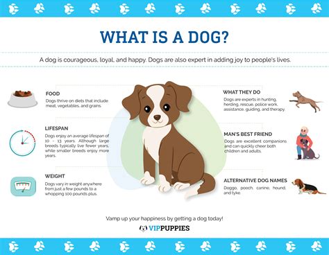 Dog Care Facts