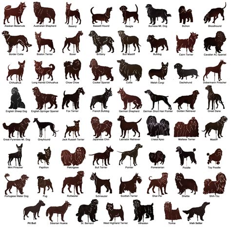 Dog Characteristics