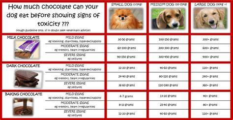 Dog Chocolate Toxicity Chart