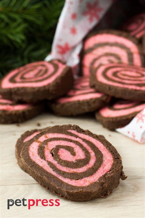 Dog Christmas Cookies Recipes