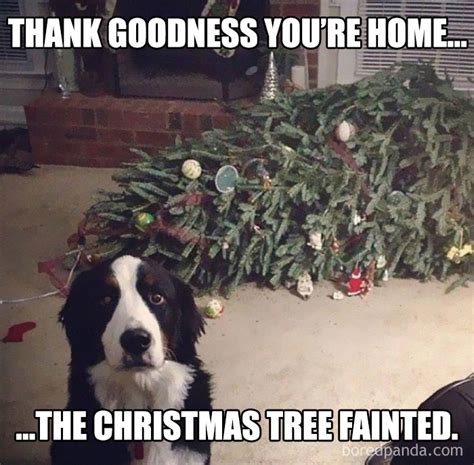Dog Christmas Tree Meme