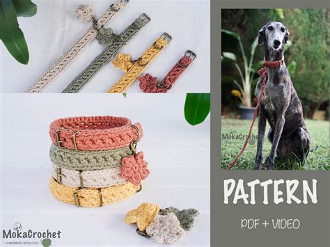 Dog Collar Crochet
