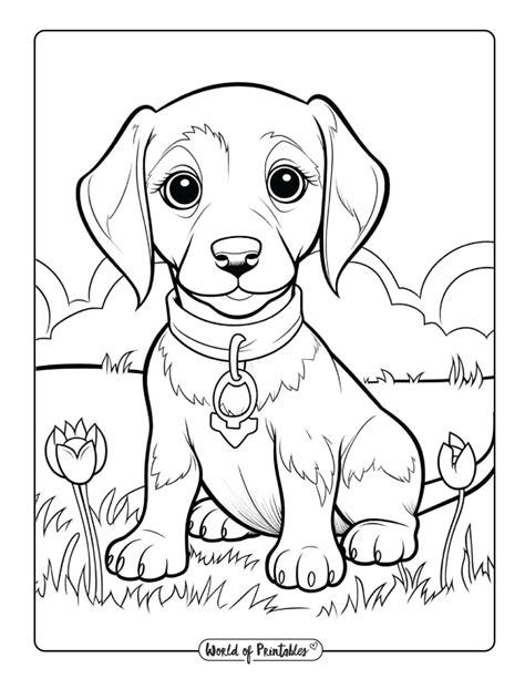 Dog Color Pages