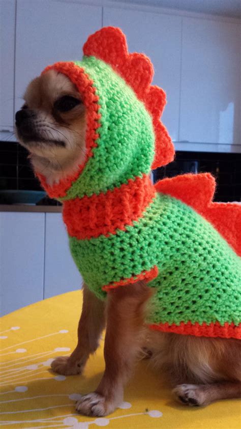 Dog Costume Crochet