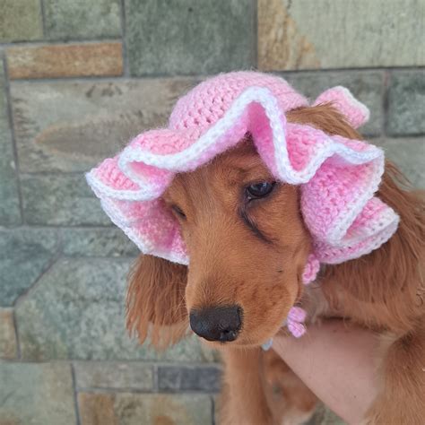 Dog Crochet Hat