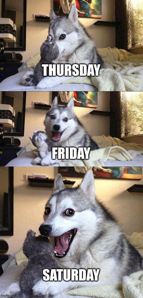 Dog Days Meme