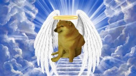 Dog Died Meme