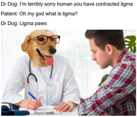 Dog Doctor Meme