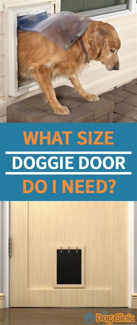 Dog Door Sizing Chart