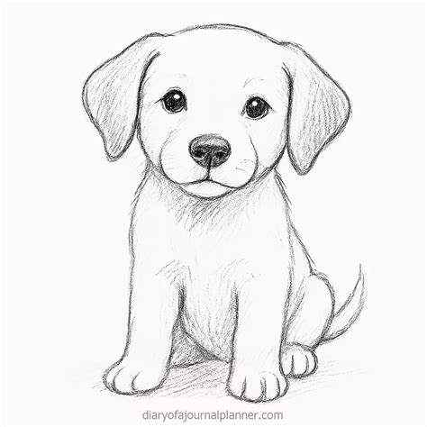 Dog Drawing Cute