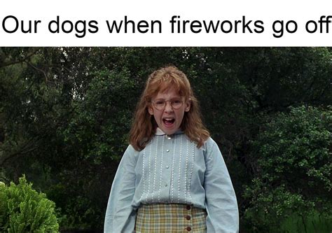 Dog Fireworks Meme