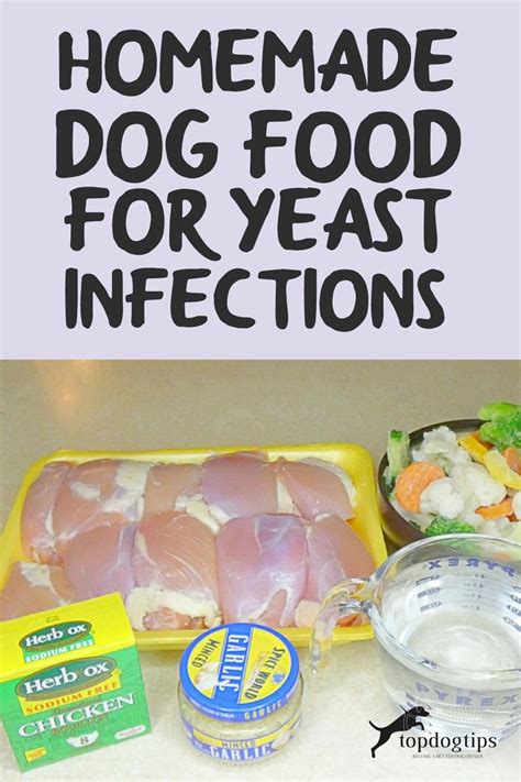 Dog Food Recipe For Dogs With Yeast Problems