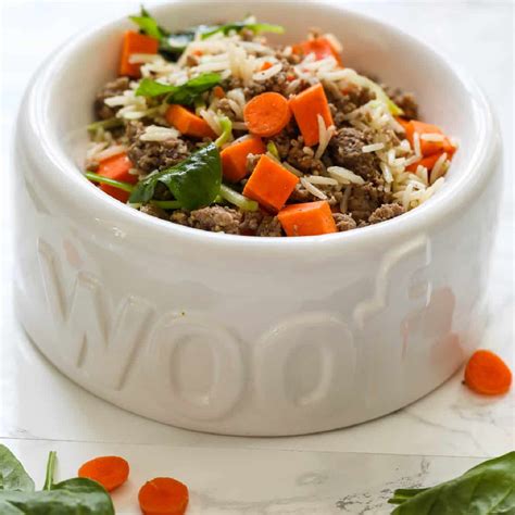 Dog Food Recipe Without Rice