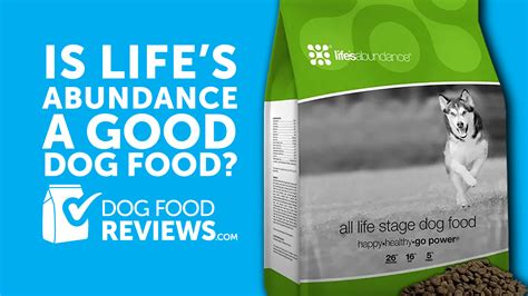 Dog Food Reviews