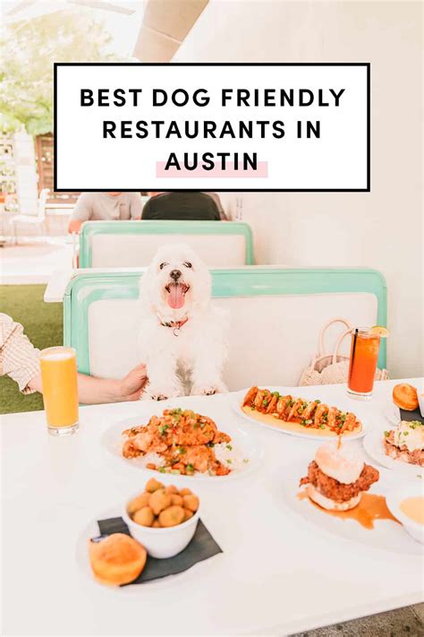 Unleash the Fun: Austin's Top Dog Friendly Restaurants