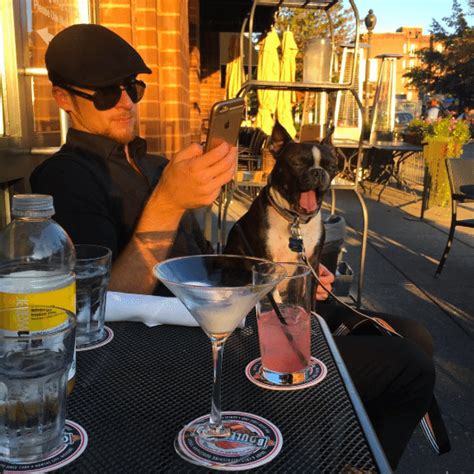 Top Dog-Friendly Restaurants in DC: Bring Fido and Enjoy a Meal Out