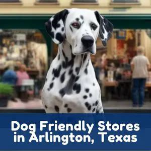 Dog Friendly Stores In Texas