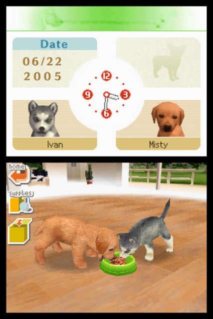 Dog Game Nintendo Ds