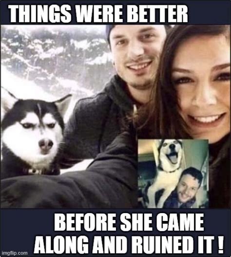 Dog Girlfriend Meme