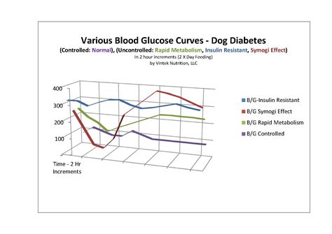 Dog Glucose Level Chart