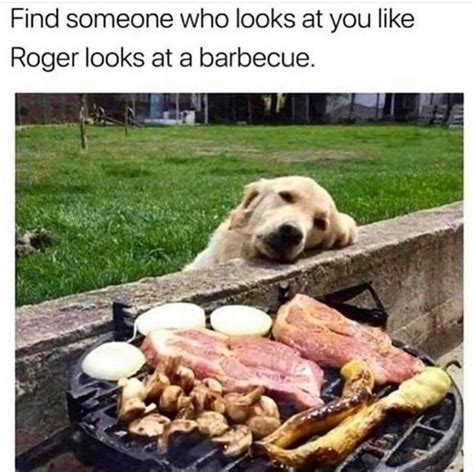 Dog Grilling Meme