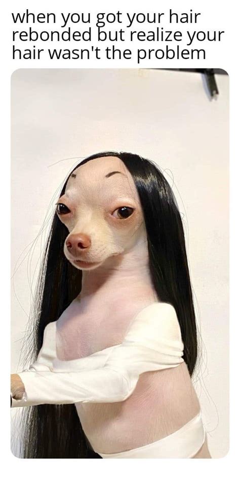Dog Hair Meme