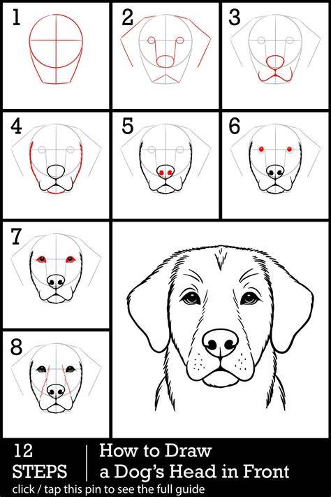 Dog Head Drawing Tutorial