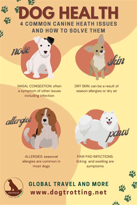 Dog Health Issues
