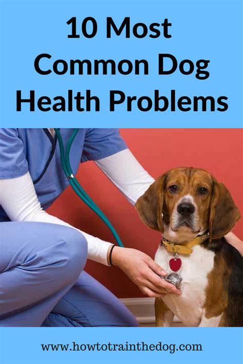 Dog Health Issues