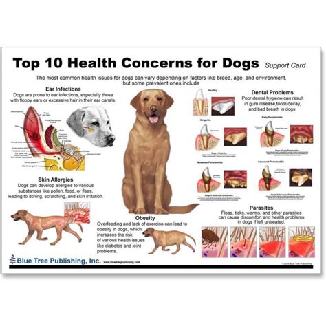 Dog Health Problems