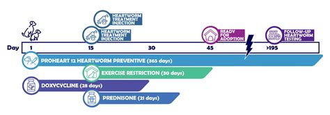 Dog Heartworm Vaccination