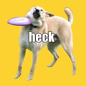 Dog Heck Meme