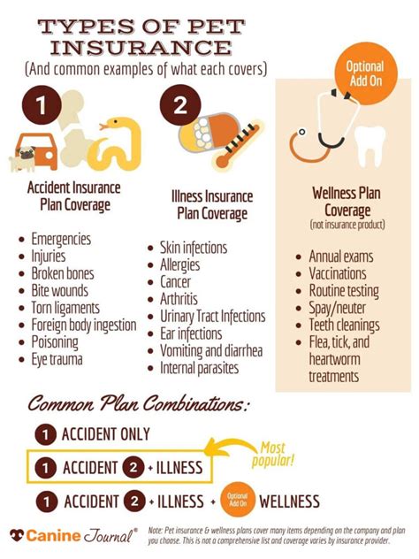 Dog Insurance Accident Only