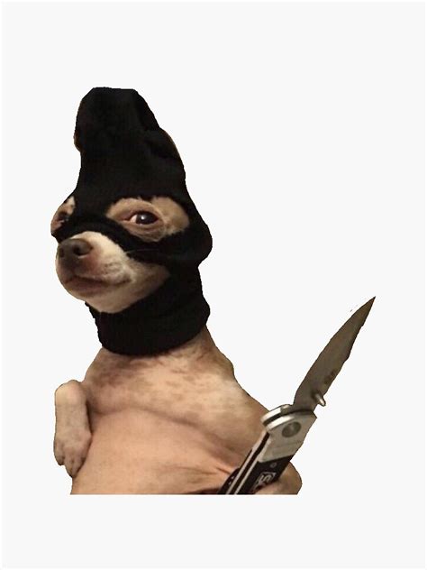 Dog Knife Meme