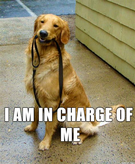 Dog Leash Meme