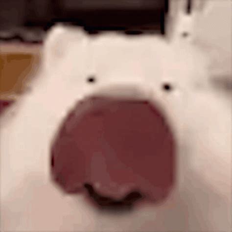 Dog Licking Meme