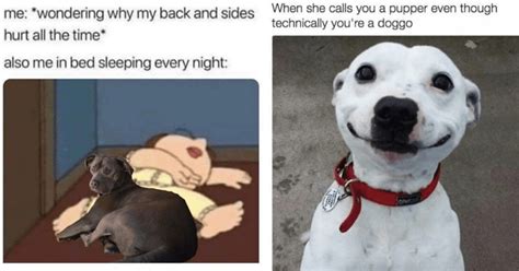 Dog Logic Meme