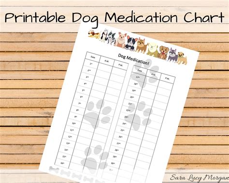 Dog Medicine Chart