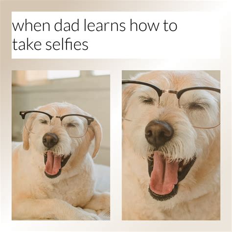 Dog Meme 2019