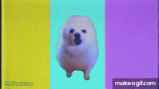 Dog Meme Avi